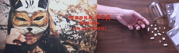 мдпв Пионерский