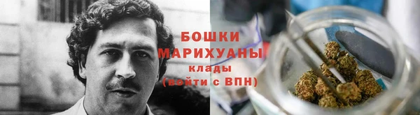 мдпв Пионерский