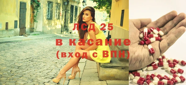 ГАЛЛЮЦИНОГЕННЫЕ ГРИБЫ Беслан