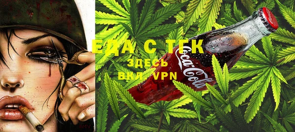 ГАЛЛЮЦИНОГЕННЫЕ ГРИБЫ Беслан