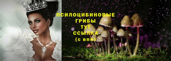 мдпв Пионерский