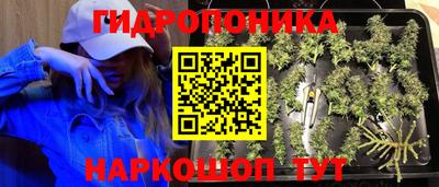 PSILOCYBIN Берёзовский