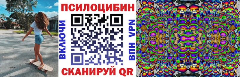 Псилоцибиновые грибы Psilocybe  нарко площадка какой сайт  Железноводск 