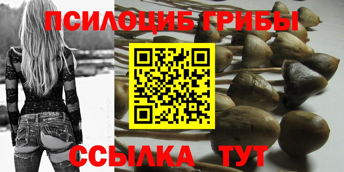 Псилоцибиновые грибы мухоморы Железноводск