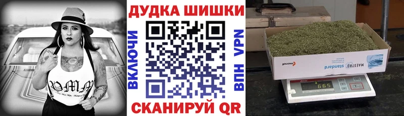 Конопля план  Железноводск 