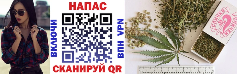 Канабис OG Kush Железноводск